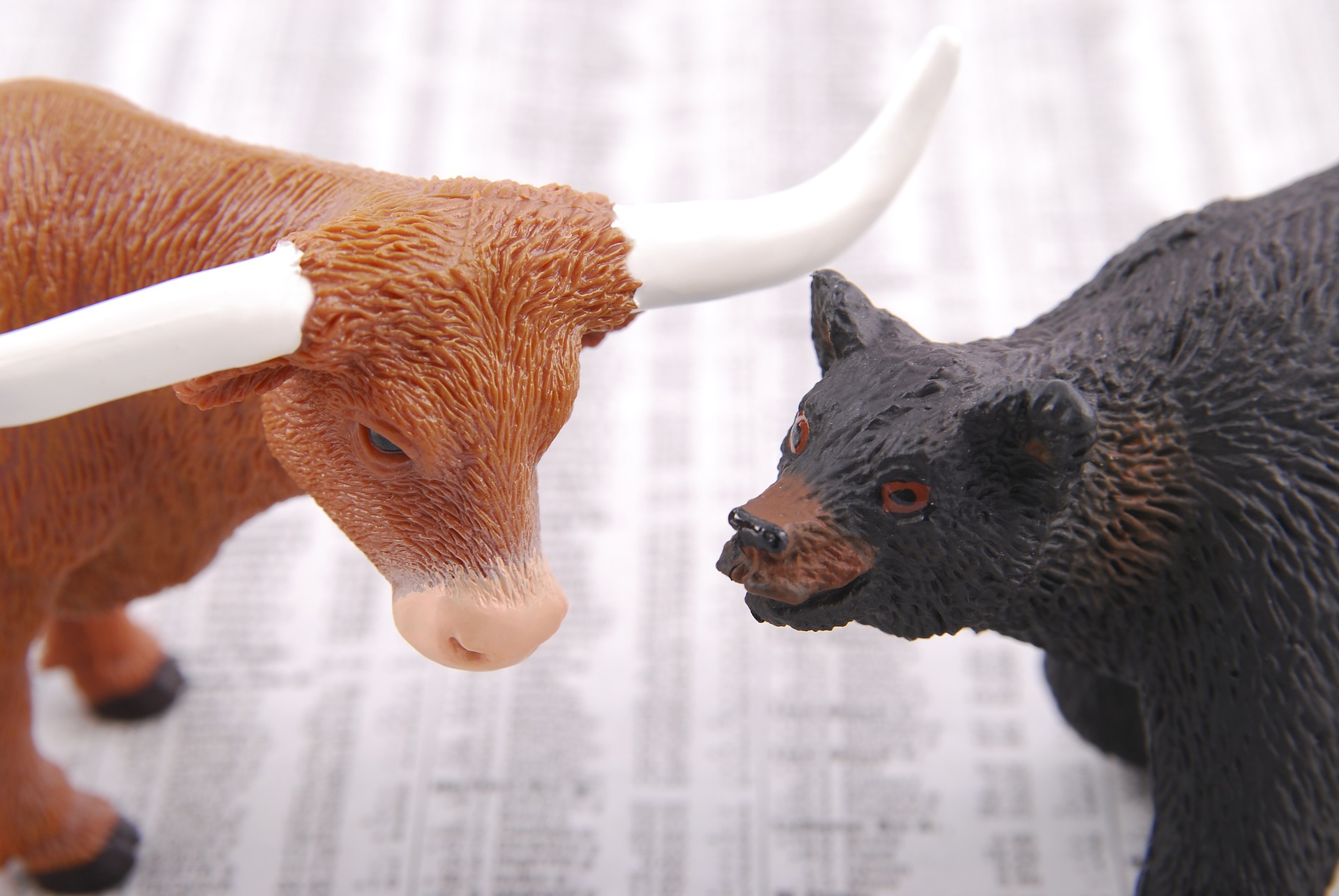 Бычий рынок приближается: как готовятся умные инвесторы