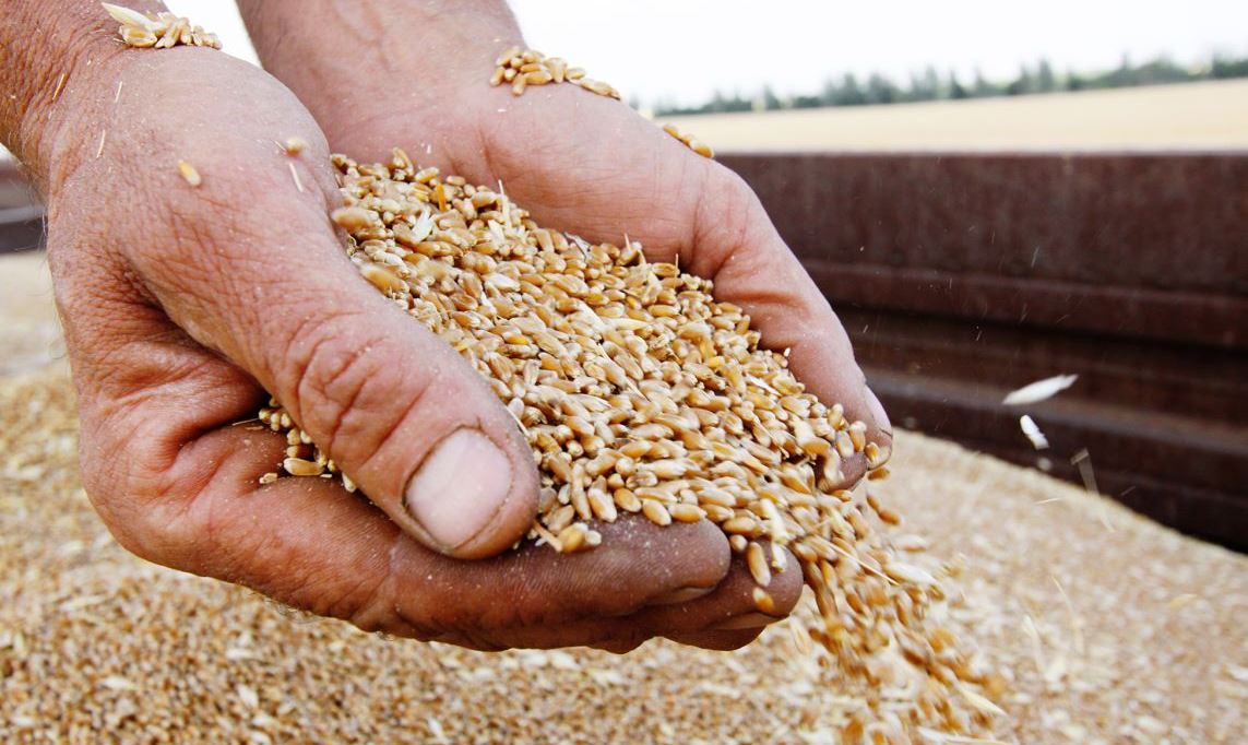Мировое сообщество призвало Россию вернуться к зерновой сделке