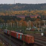 FESCO: контейнерные перевозки в РФ продолжают расти, несмотря на инфраструктурные ограничения
