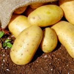 Конец беспокойствам: россиян успокоили по поводу дефицита картофеля