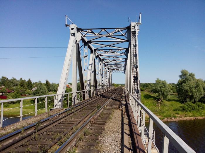 Неизвестные разобрали заброшенный ж/д мост в Рязанской области