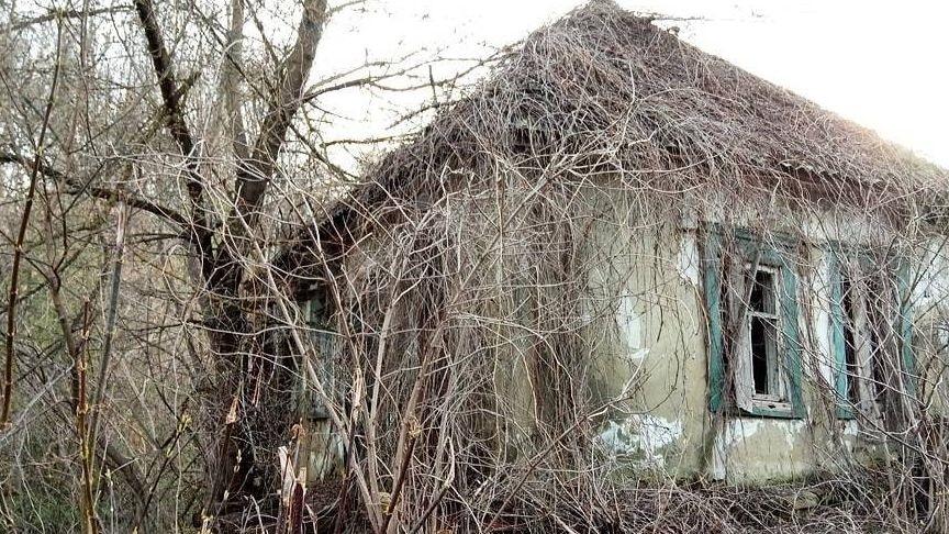 Эксперт пояснил, когда и как может произойти изъятие заброшенного участка