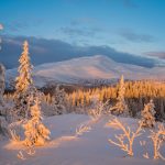 Правительство утвердило схему развития туризма на Русском Севере