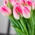 Российские производители цветов планируют создать отраслевое объединение